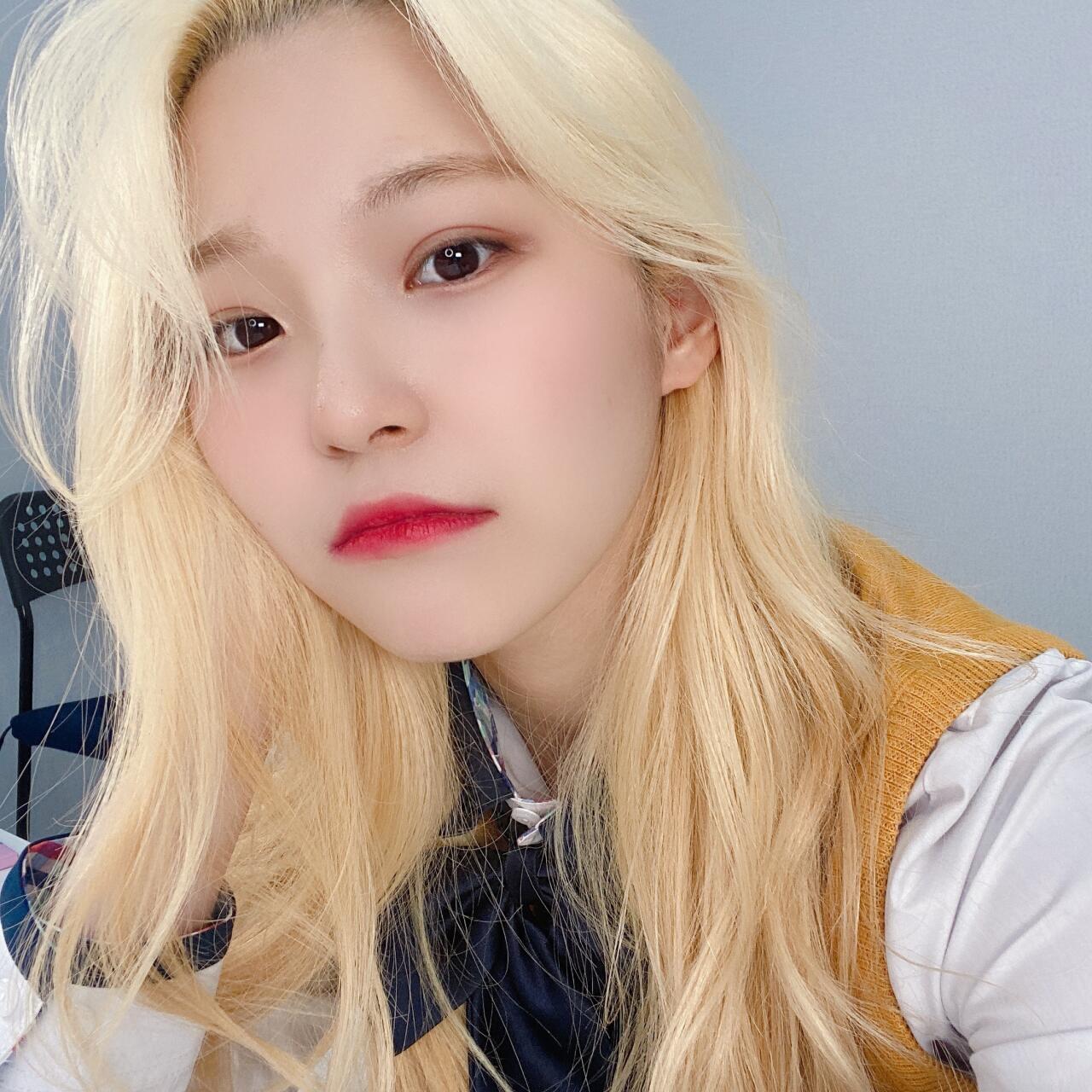 백지헌