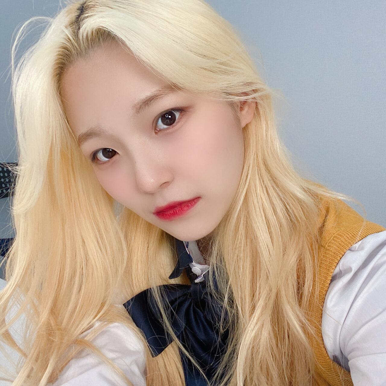 백지헌