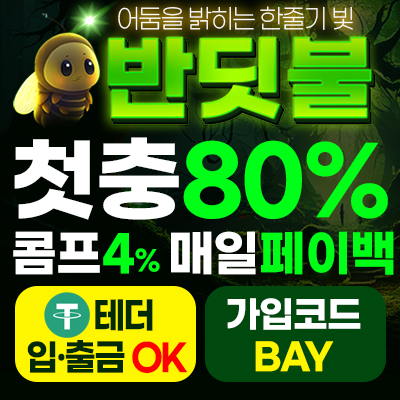 철통보안 시스템 탑재 반딧불