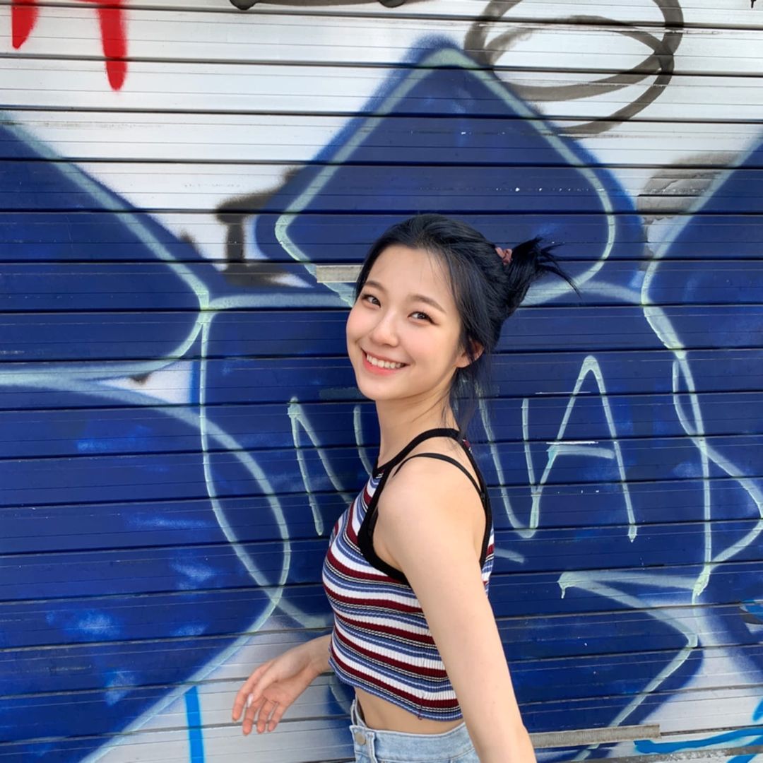 백지헌