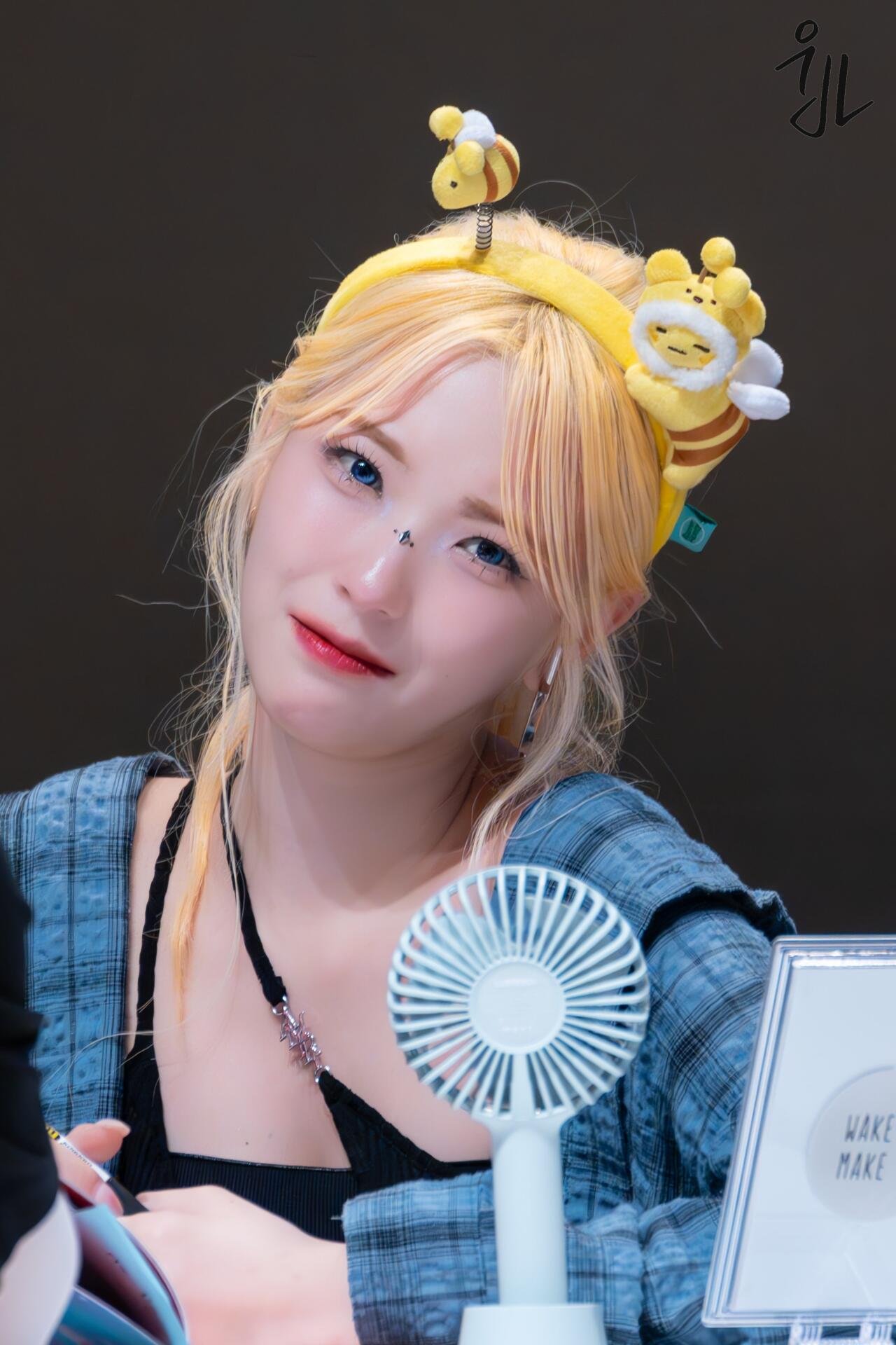 백지헌