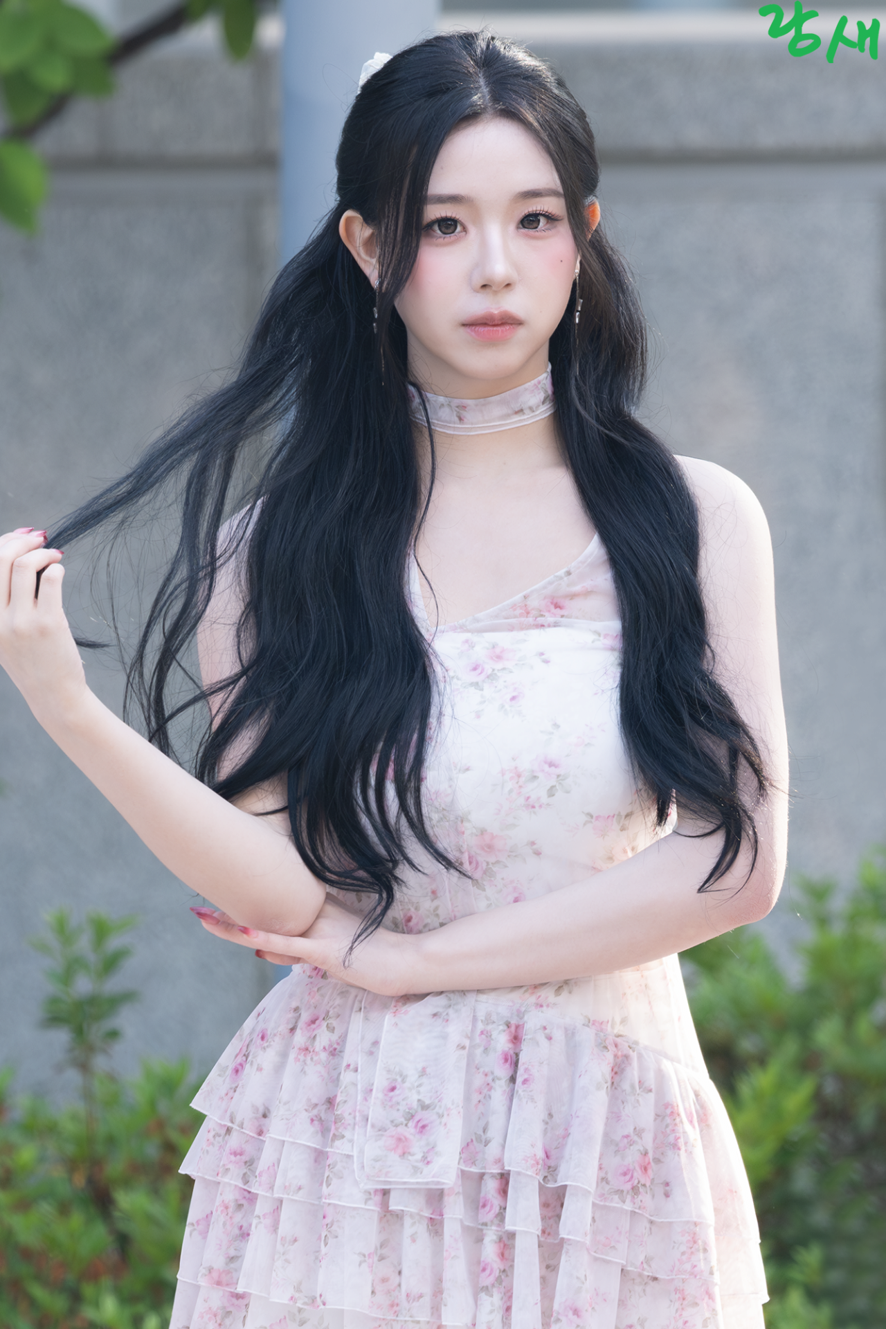 김채연