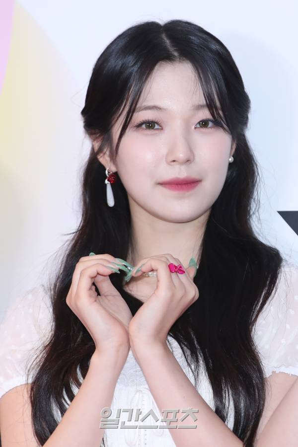 백지헌