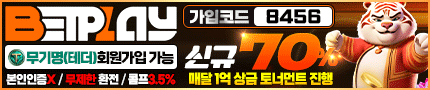 안전놀이터 보장 벳플레이